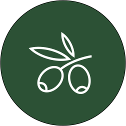 olive branch icon