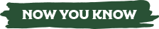 Now you know