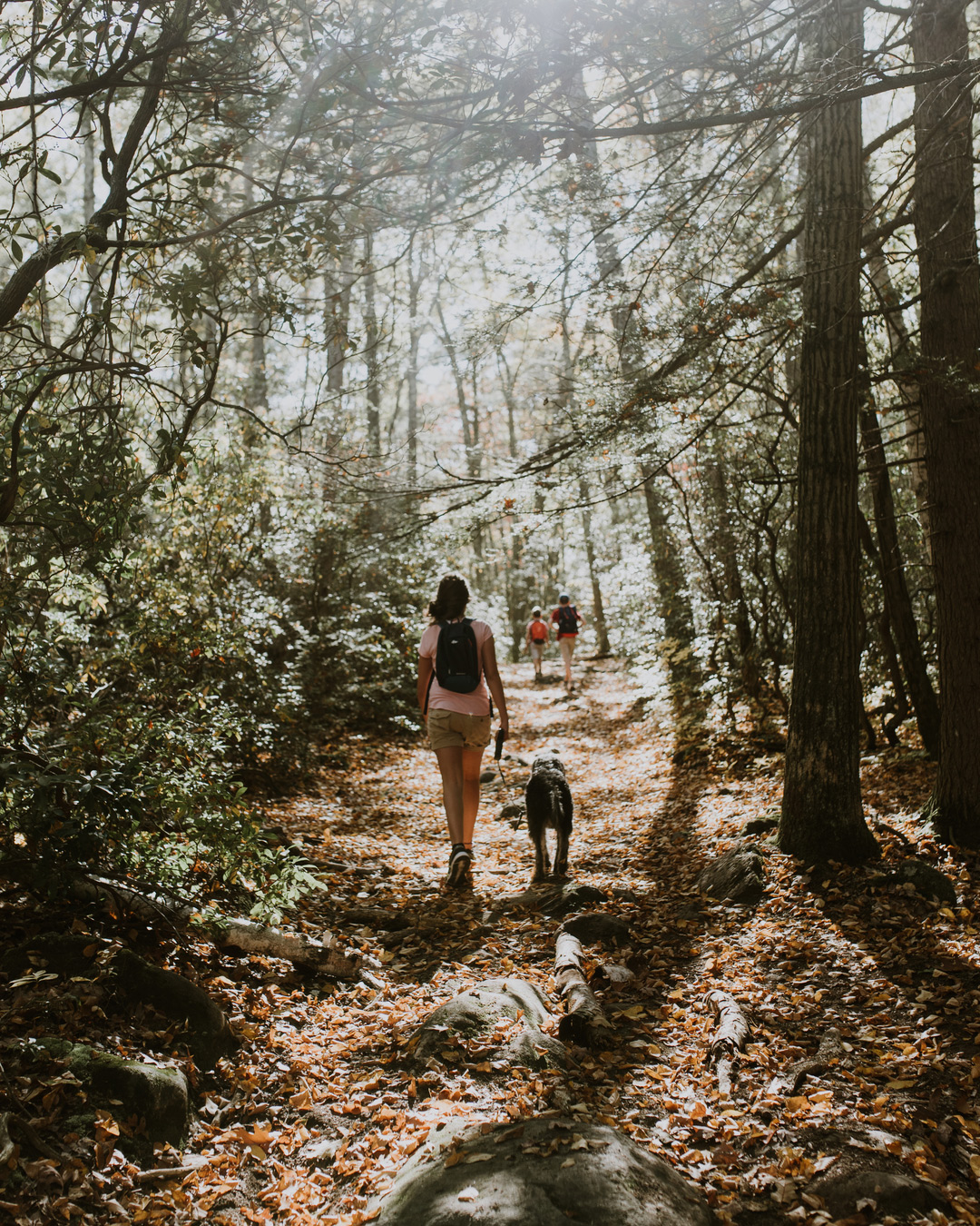 3_Take-a-Hike.jpg 3_Take-a-Hike.jpg